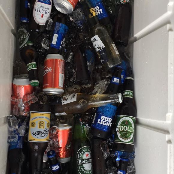 Meet your Posher, Benjamin - Picture 1 of 1